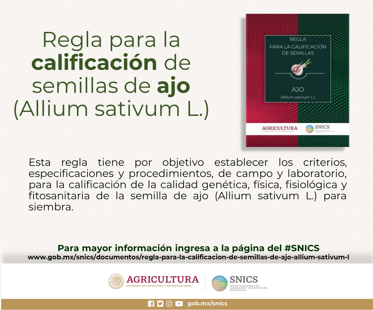 SNICS_MX's tweet photo. ¿Quieres calificar semillas de ajo? 🧄🧅
Ingresa la página del #SNICS y descargar la regla para la calificación.
#SemillasDeCalidad
📷📷https://t.co/TRJk8kTzUc https://t.co/SdiFLoJuO1
