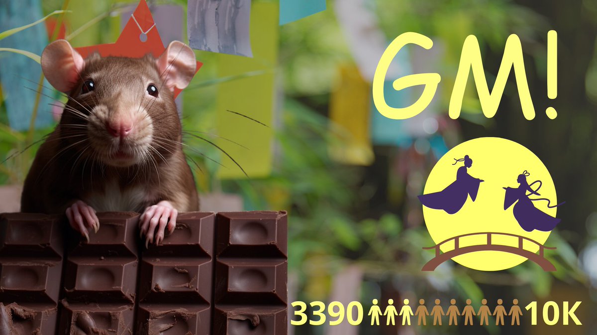 Alex Rat 🐀 tweet media