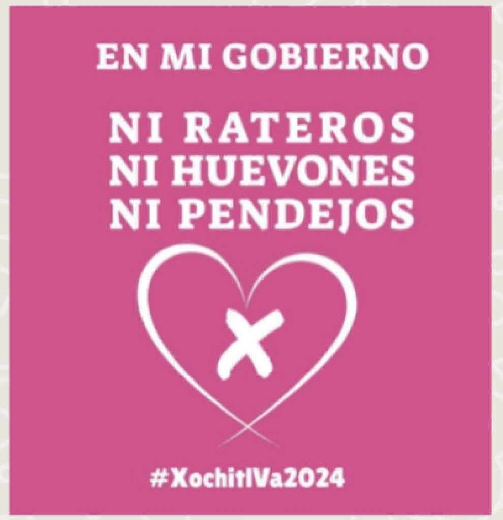 acastagne's tweet image. Así mero !!!
#XochiltVA