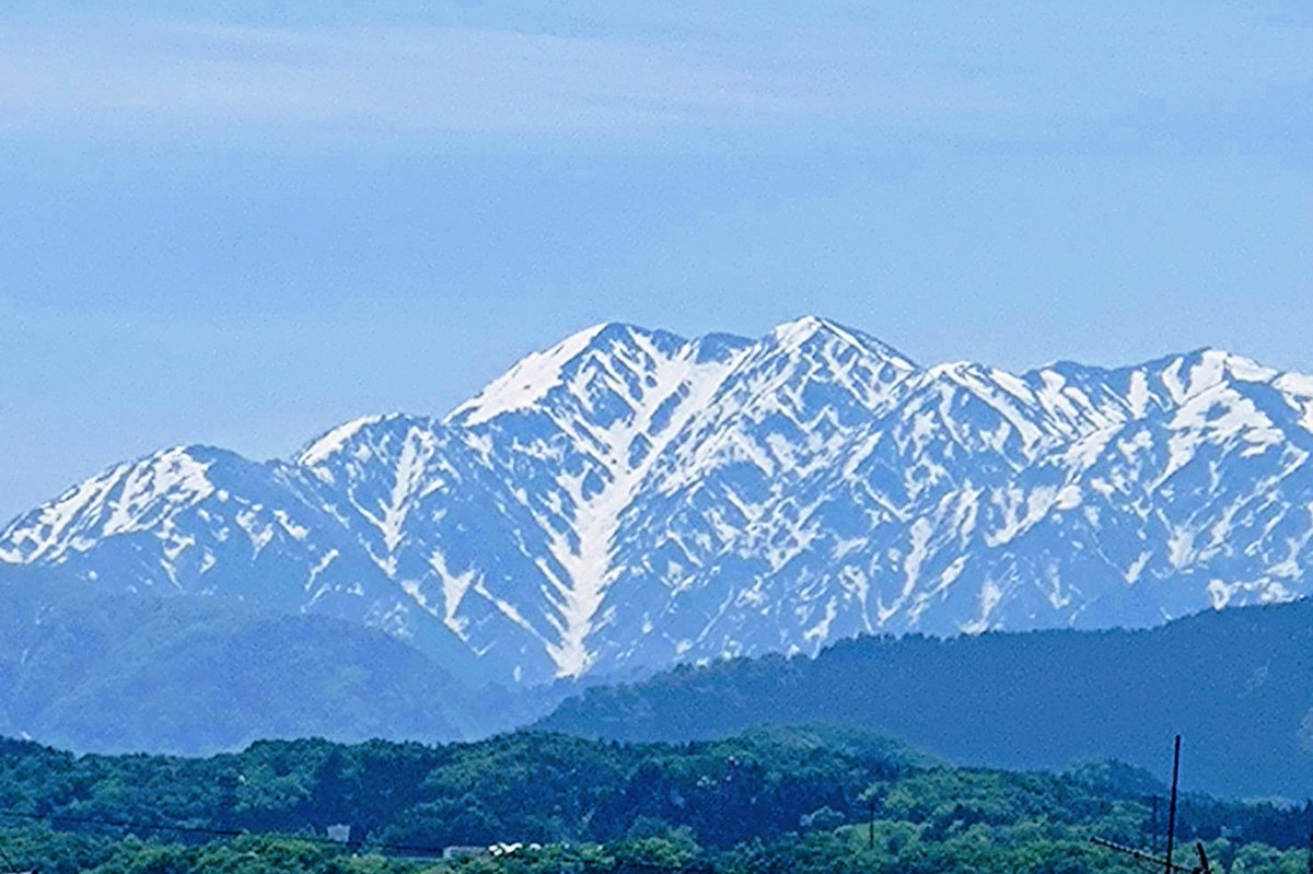 「ユキチャンが来たら色紙と筆で」と意欲満々だったそうで…今度一緒にお絵描きします。
#毛勝山 https://t.co/9xMVquVA47