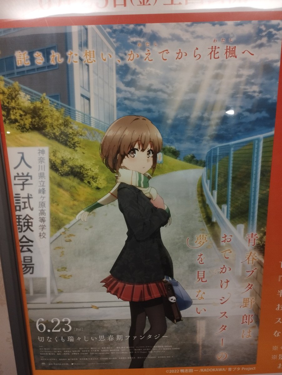 青ブタまじで良かった！
主人公の優しさが泣ける