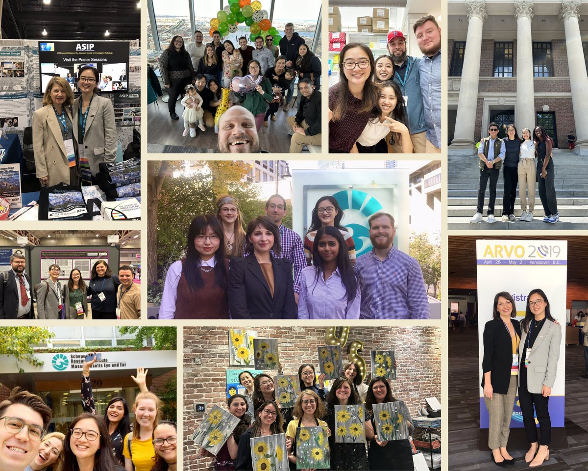 Daisy Shu (she/her/hers) tweet media