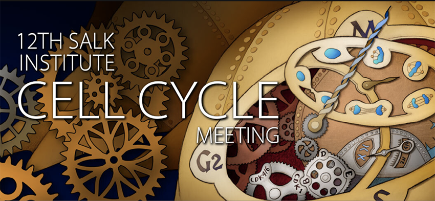 The Salk Cell Cycle Meeting will start in just 10 days (July 24th) and the list of all speakers, including short talks, is now available.  salk.edu/events/science… 
If you can't be there, registration for virtual attendance is still possible! #CellCycle2023