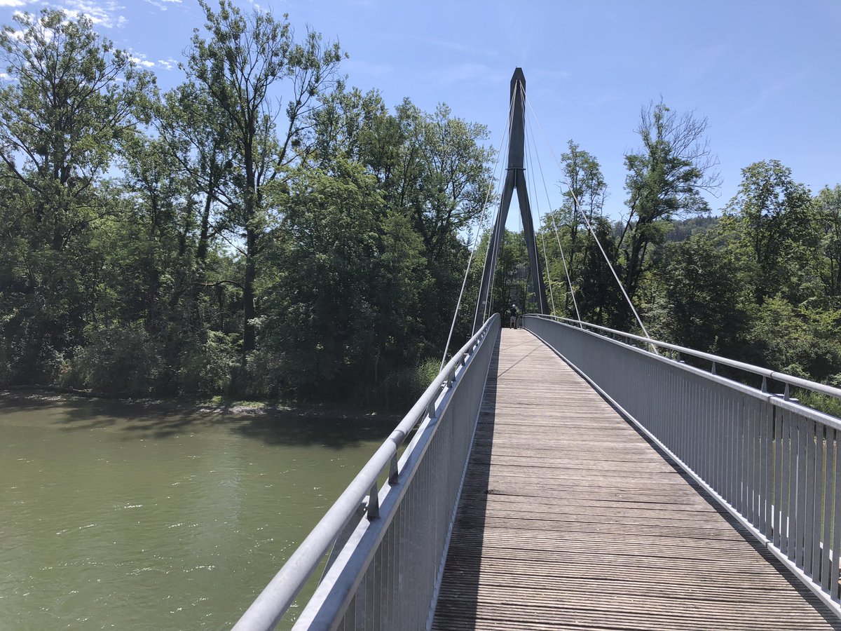 SabineGasser1's tweet photo. Einfach mal der #Aare entlang auf der 7 Etappe der Via Berna 😎🥾💪🏼
@madeinbern @Jura3SeenLand #ViaBerna #hike @MySwitzerland_d #Aarberg #InLOVEwithSWITZERLAND #Wander #SwissSummer https://t.co/B7GYmX0VpB