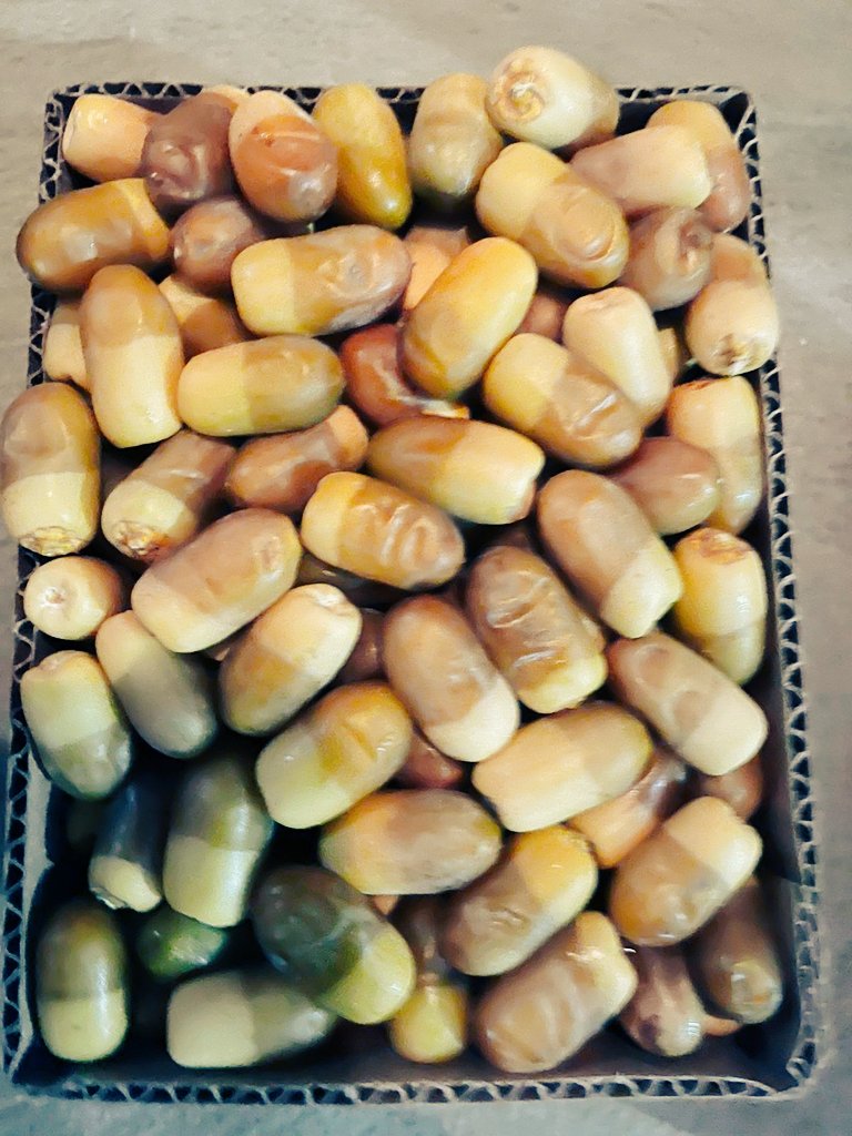 موجود الآن ١٥ كرتون فقط لبان و متلبن مقابل محطة الفهد شرق الخط، السريع (التحلية)