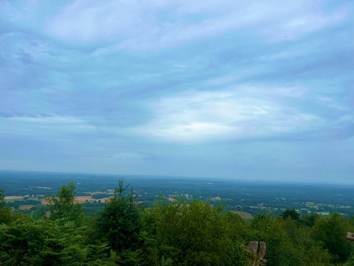 Laura Amy Johnson tweet media