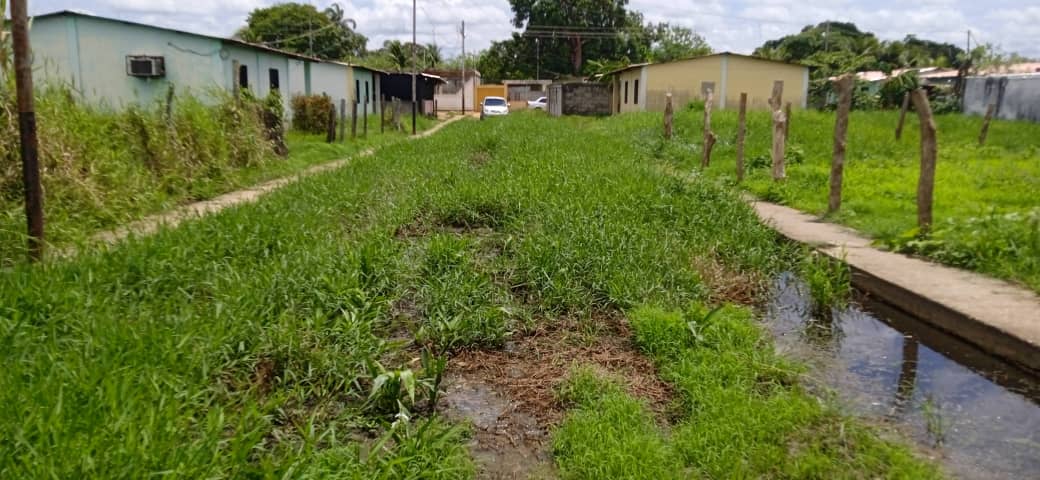 VenteGuaricoYA's tweet photo. #ServicioPúblico En el Municipio San Gerónimo de Guayabal, son pocas las calles que no se encuentren en este deplorable estado. Desde allí, nos envían estas fotos explicando lo siguiente: "Ayer hicimos un recorrido, y son muy pocos los que no se encuentran bajo el hedor y la- https://t.co/aViaRu6oWl
