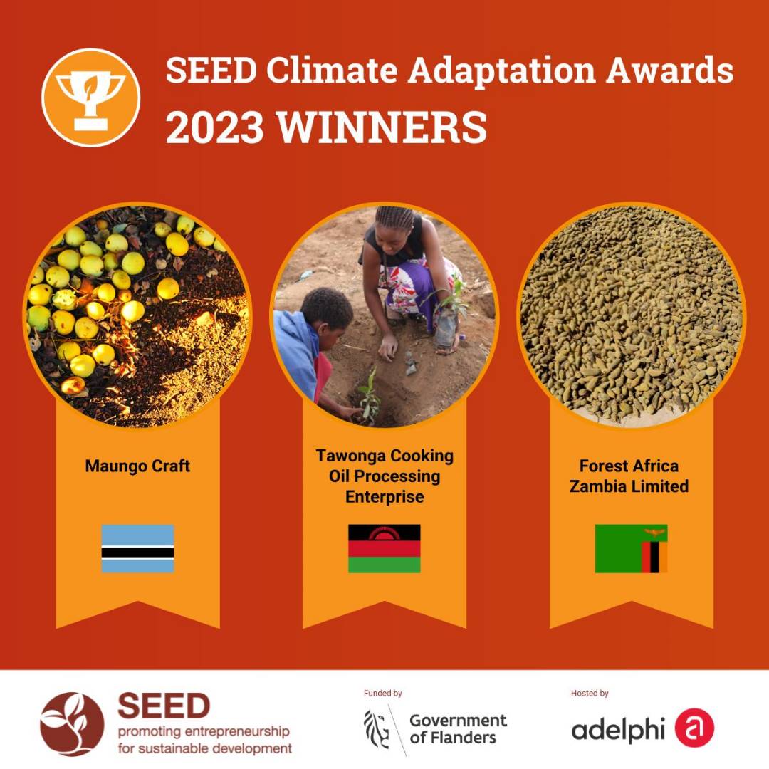 Maungo Craft tweet media