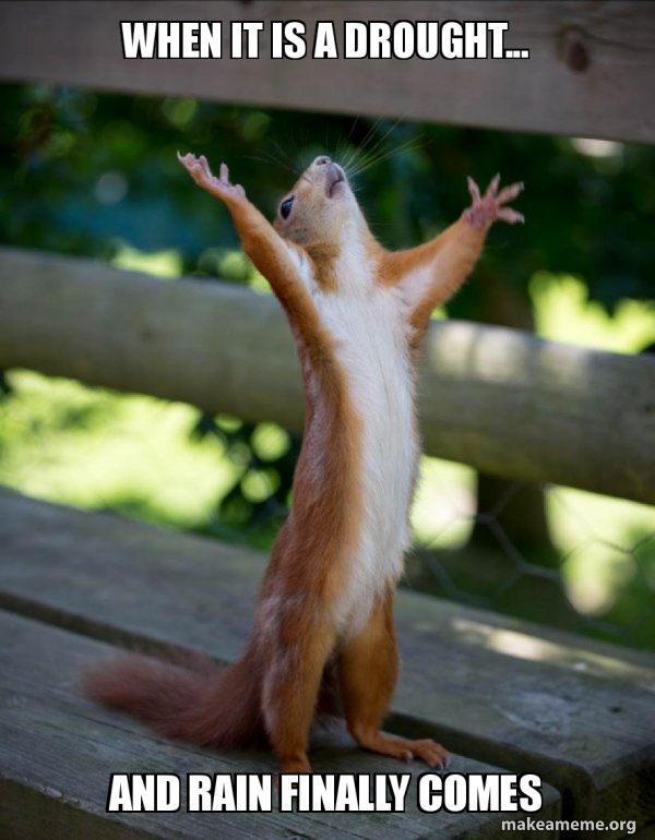 KCENWeather's tweet photo. The latest drought monitor is out and the news is not great. All of Central Texas is now under some type of drought. Rain chances are coming back by Sunday, but model data isn't looking very promising. We'll all be like this squirrel if it comes. https://t.co/1lwIFxf7uY https://t.co/FGeys3Rncr