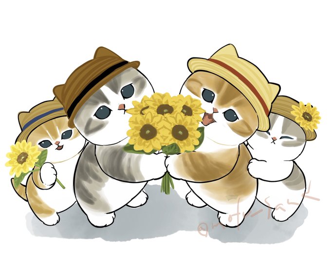「花 白い猫」のTwitter画像/イラスト(人気順)