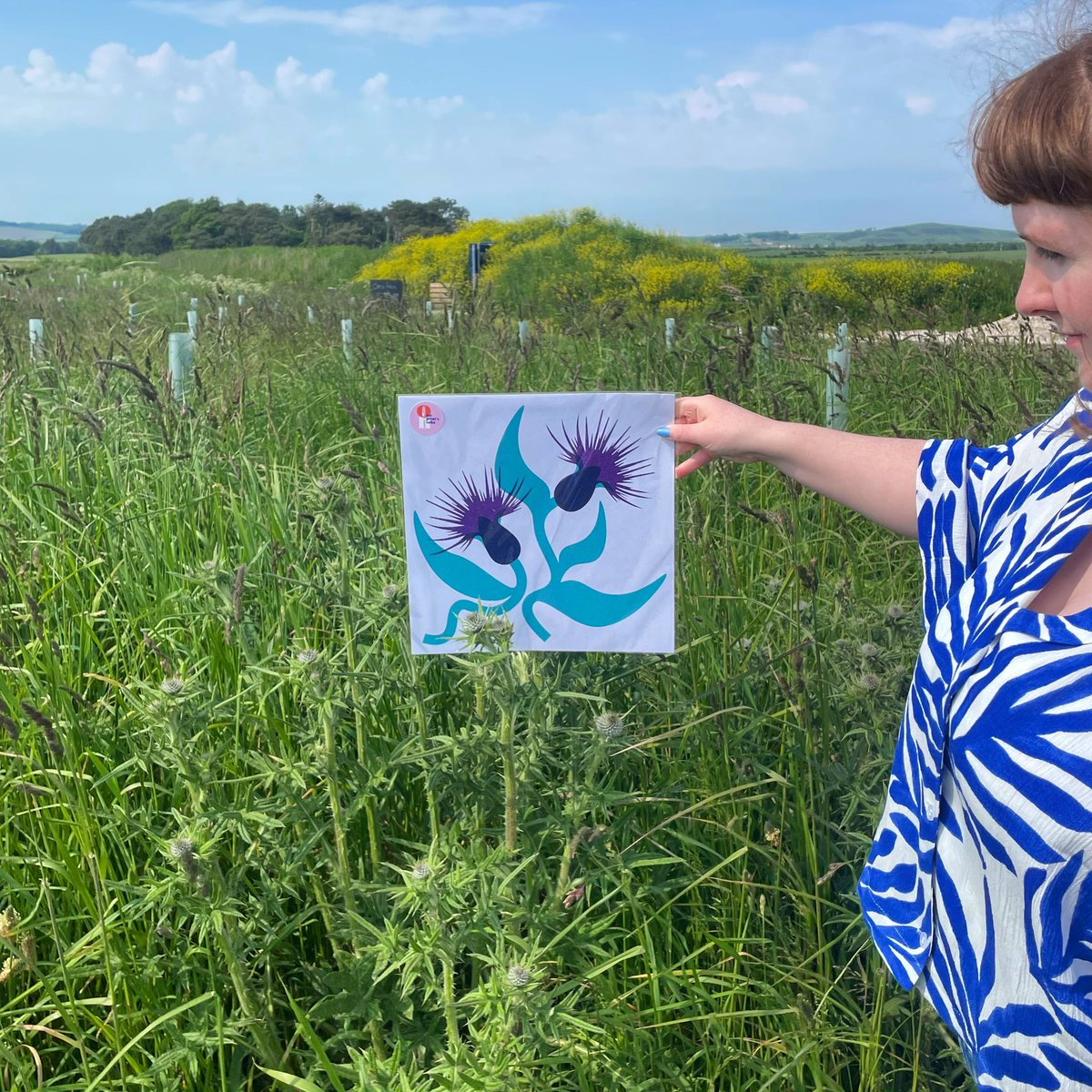 Flower Friday 🌿🌸

A little behind the scenes fun snapping pictures of the ‘Thistle Do Nicely’ print

#scottishthistle #thistles #flowerofscotland #scottishprint #scottishcraft