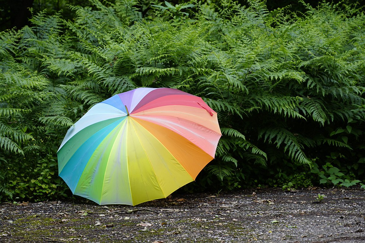 We're at the mercy of the Cornish weather this weekend! ☂️

Here's our top tips for great experiences to visit on a rainy day.   #bestdaysoutcornwall

Get inspiration for a great day out, despite the weather, here:
bestdaysoutcornwall.co.uk/where-are-the-…
