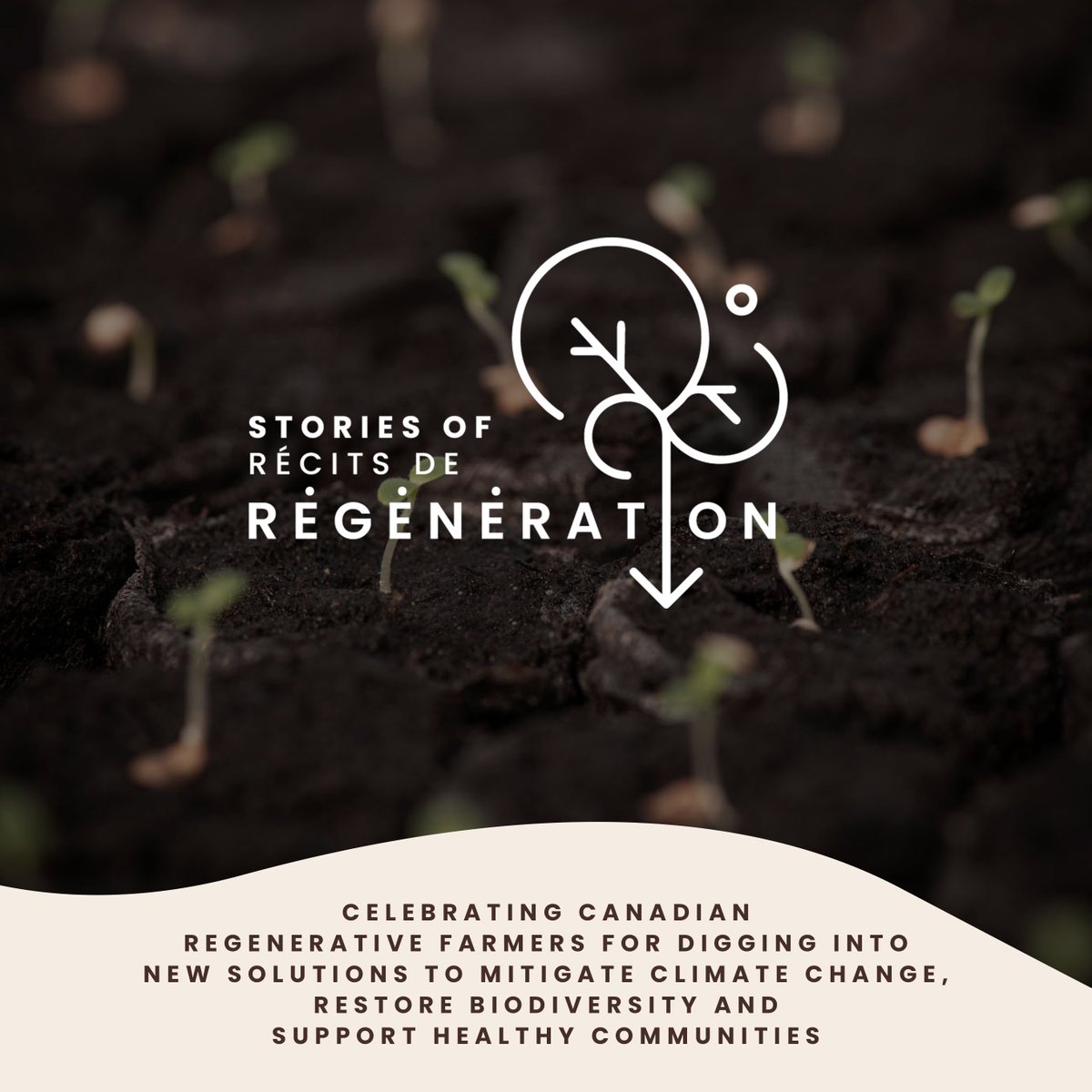 nsenvironetwork's tweet photo. With Stories of Regeneration, the team at @regenerationcan will visit farmers from across the country to learn about regenerative practices and connect with local communities through a series of on-farm events, films and interviews.

Learn more: https://t.co/y0cm6HuGBg https://t.co/vzoctlImcz