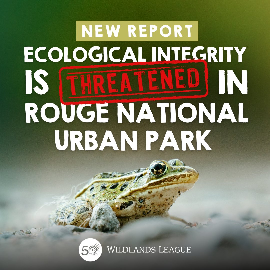 NEW #REPORT: Last fall, Premier Ford removed the Duffins Rouge Agricultural Preserve from the Greenbelt, paving the way for #urbansprawl. The DRAP borders Rouge NUP and provides critical habitat connectivity to the Park 🌱

Read more on threats to Rouge: bit.ly/DRAPreport