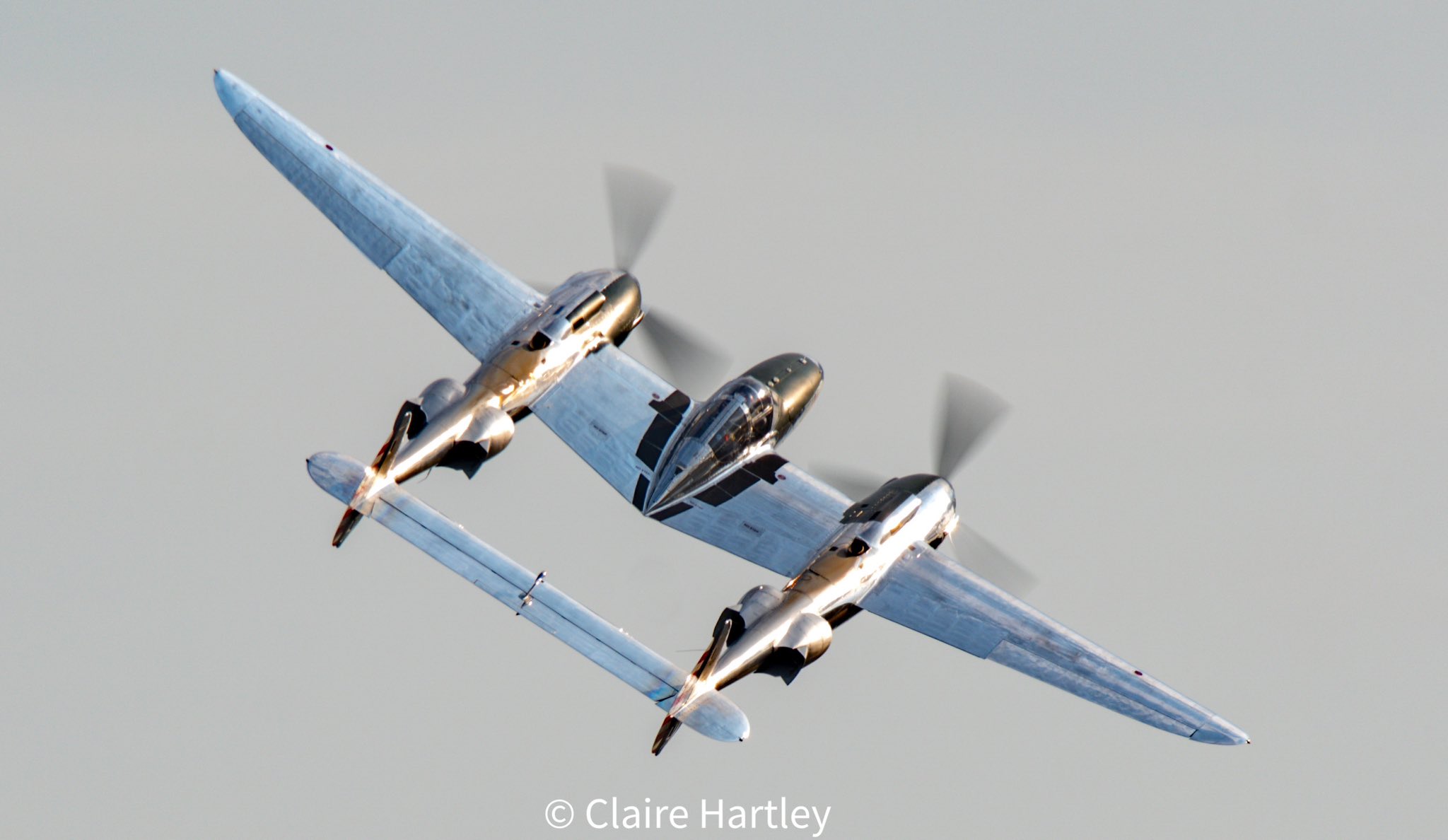 Claire Hartley on Twitter "Today is a good weather day….for snuggling