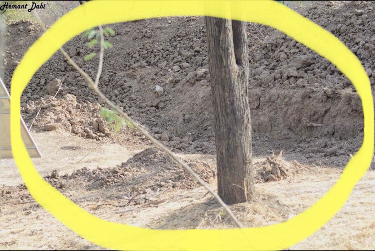 Ryan Aston tweet media