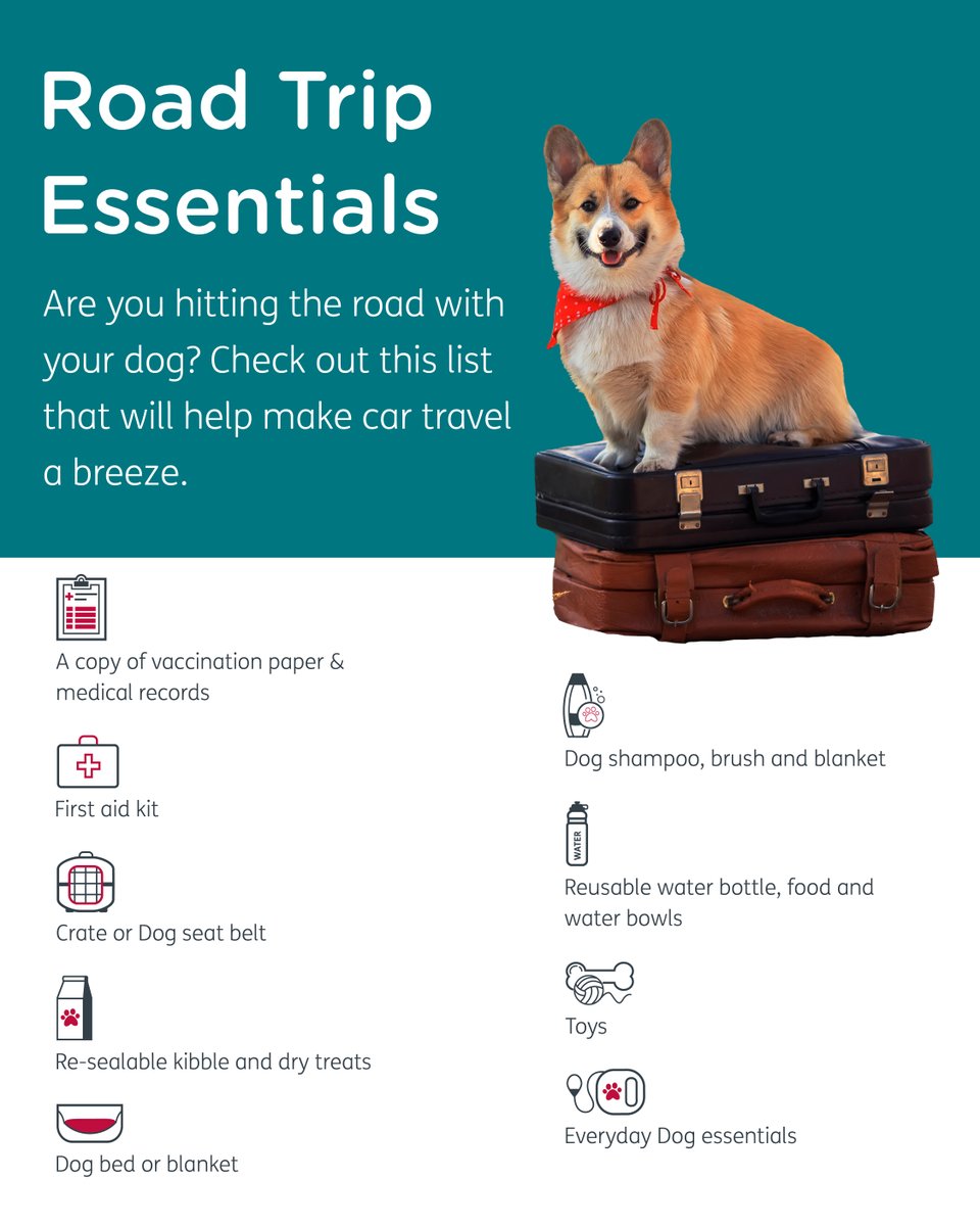 🚗🐾 Embark on the Perfect Road Trip with These Essentials! 🐾🚗​

Are you ready to hit the open road with your furry companion by your side? ​

We've got you covered with a list of must-have essentials for the ultimate pet-friendly road trip! ​

#24Petwatch🐾