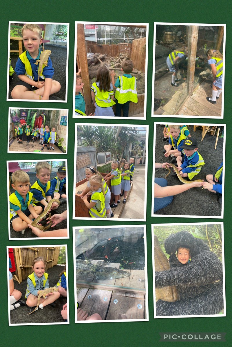 Plantasia 2023 🐊🕷️🌿