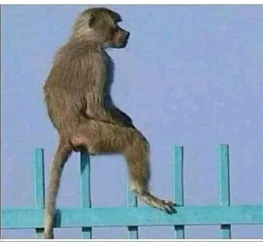 Its Friday but I gat nothing to do.
Ngoyingewaaa