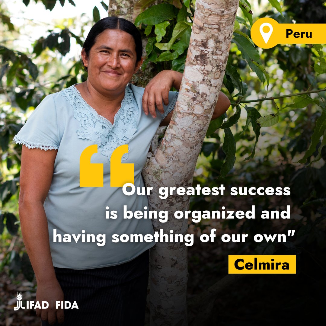 IFAD's tweet photo. 👋 Meet Celmira, the president of the Pacaypite Women Entrepreneurs Association in #Peru.

When the pandemic struck, her community was hit hard.

With help from an IFAD-supported program, the association worked with families to build back while protecting the environment🤝🌿 https://t.co/bJ6HRjHtTg