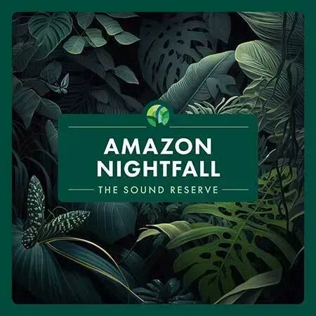 thesoundreserve's tweet photo. Listen as the jungle comes alive in our latest album, 'Amazon Nightfall'. Enjoy the mesmerising rhythm of crickets and cicadas, creating a harmonic unity that is both powerful and enchanting. Out TODAY on Spotify and all other streaming services: https://t.co/bUt2W7YbB0 https://t.co/pN6zehBqsr