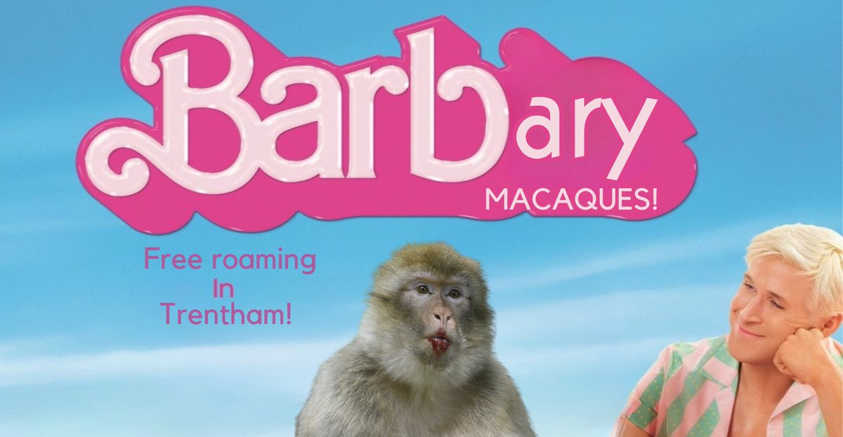 Trentham Monkey Forest tweet media