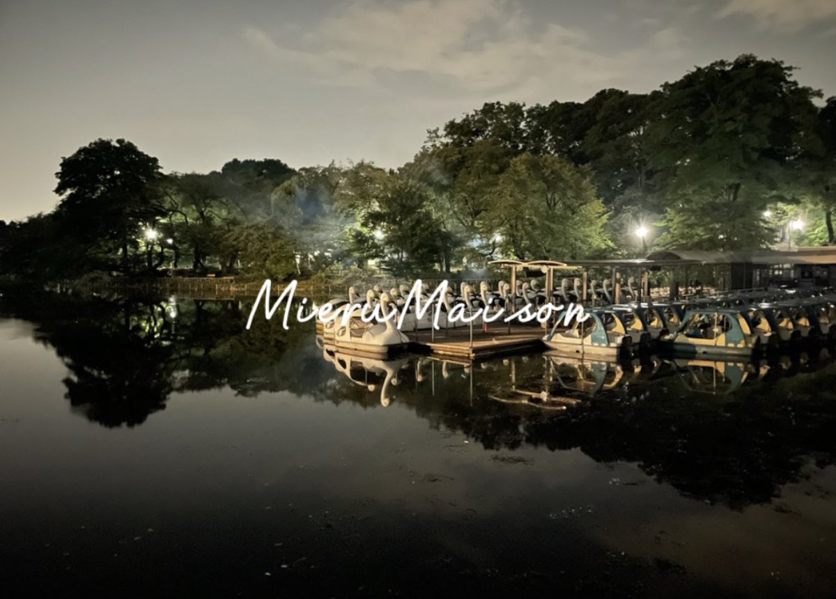 MieruMaison's tweet photo. boat

 #MieruMaison https://t.co/y5hfChStRG