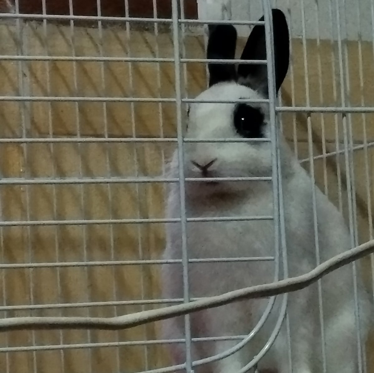lebi12212's tweet photo. #新個人資料相片 https://t.co/h06diRQIhs