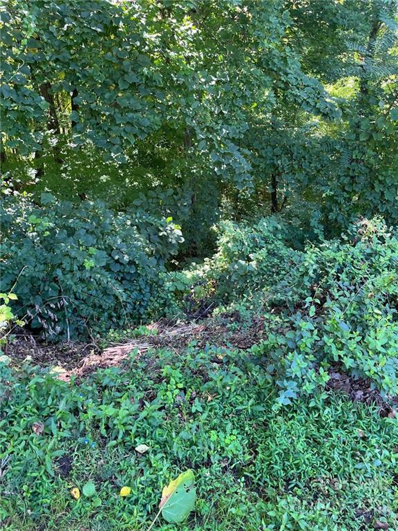 BHHS_LP's tweet image. See a virtual tour of our listing on 000 Vance Gap Road #Asheville #NC  #realestate tour.corelistingmachine.com/home/AY3JSP