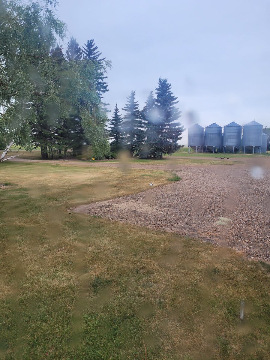 This morning we have strange water marks on our windows and the ground is damp. We are very fortunate for the cool weather the past 3 weeks but could definitely use more of this rare citing  #drought
