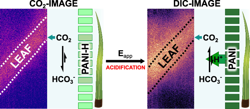 ACS Sensors tweet media