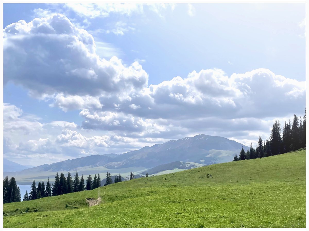 StevenLinSt's tweet photo. Summer vacation in Xinjiang https://t.co/MEryIlFvum