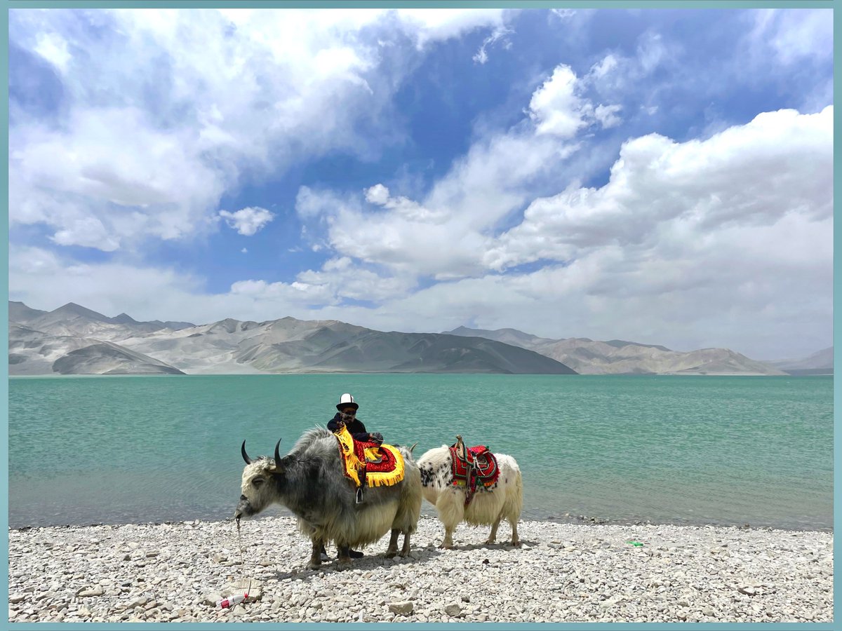 StevenLinSt's tweet photo. Summer vacation in Xinjiang https://t.co/MEryIlFvum