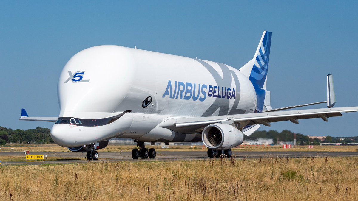 What are your thoughts on the Airbus BelugaXL? 🐳