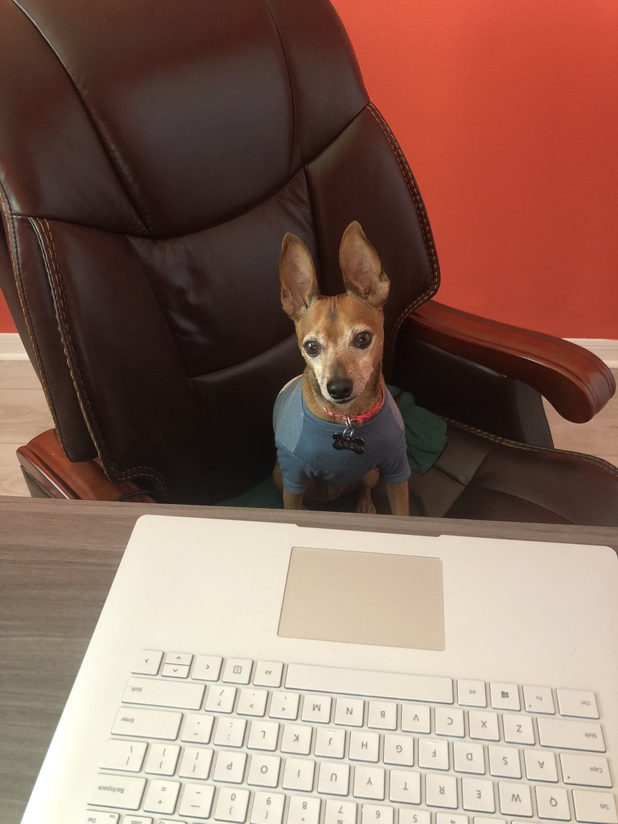 VictoriaTheTech's tweet image. I guess Ren thinks he’s going to be running my meetings today… @MicrosoftLife #MicrosoftLife