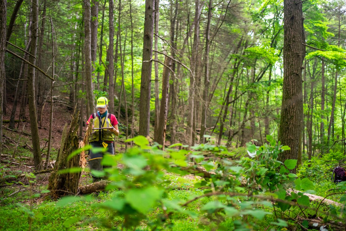 USGS_MD_DE_DC's tweet photo. Why do USGS scientists study streambanks and riparian zones?

Scientists can estimate the regularity and intensity of floods by looking at plant species as well as wood and sediment size transported by the stream.

#FieldPhotoFriday https://t.co/VyfIt9ph4v
