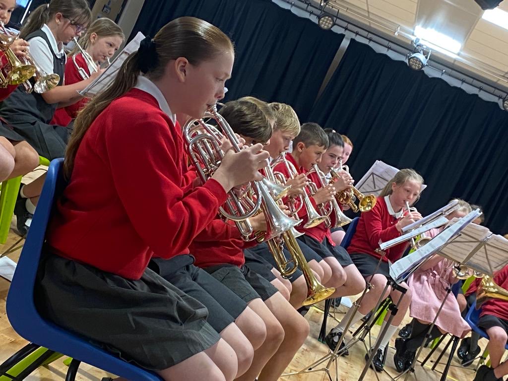 DelphPrimary tweet picture