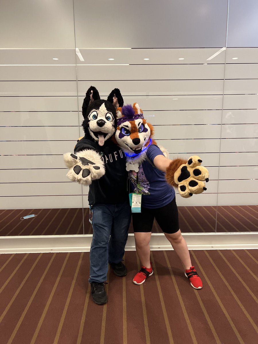 Trumpet_potato's tweet photo. Happy #FursuitFriday While at Anthrocon this year I met one of my biggest idols in the furry fandom. I’ve been in the fandom for well over 10 years and it was videos of Buddy that introduced me to the magic, friendliness, and passion of the fandom. Thank you Buddy for everything. https://t.co/CUMKi0UwDC