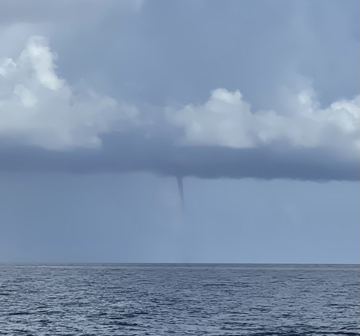 Georgia Weather tweet media