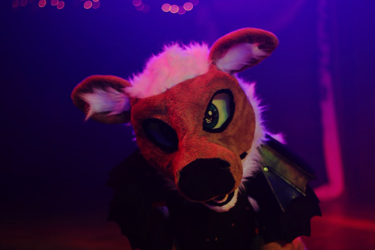 Happy #FursuitFriday from last weeks con <a href="/SouthAfriFurCon/">🐾 South Afrifur Convention 🐾</a> 

📷 By <a href="/Shiro_Snep/">🐾Shiro🐾Snep🐾</a>
🪡 <a href="/NCZASuits/">Nautical Creations</a>