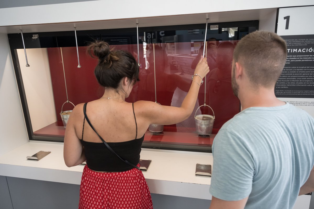 CACiencies's tweet photo. Visita el #MuseudelesCiències i veuràs el que aprens amb exposicions per a tots:

#EspaidelsXiquets el lloc dels més menuts
#PlayCAC per als amants de la música i la ciència
L'espai i el planeta roig en #GravetatZero i #ExpoMartCAC
#BoscdeCromosomes els secrets del nostre cos https://t.co/cfYDZ0qzGj