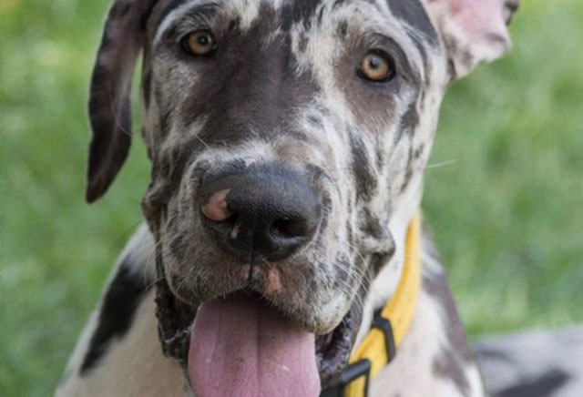 Wagawhey! You're a winner - mailchi.mp/8752567a07ab/w…