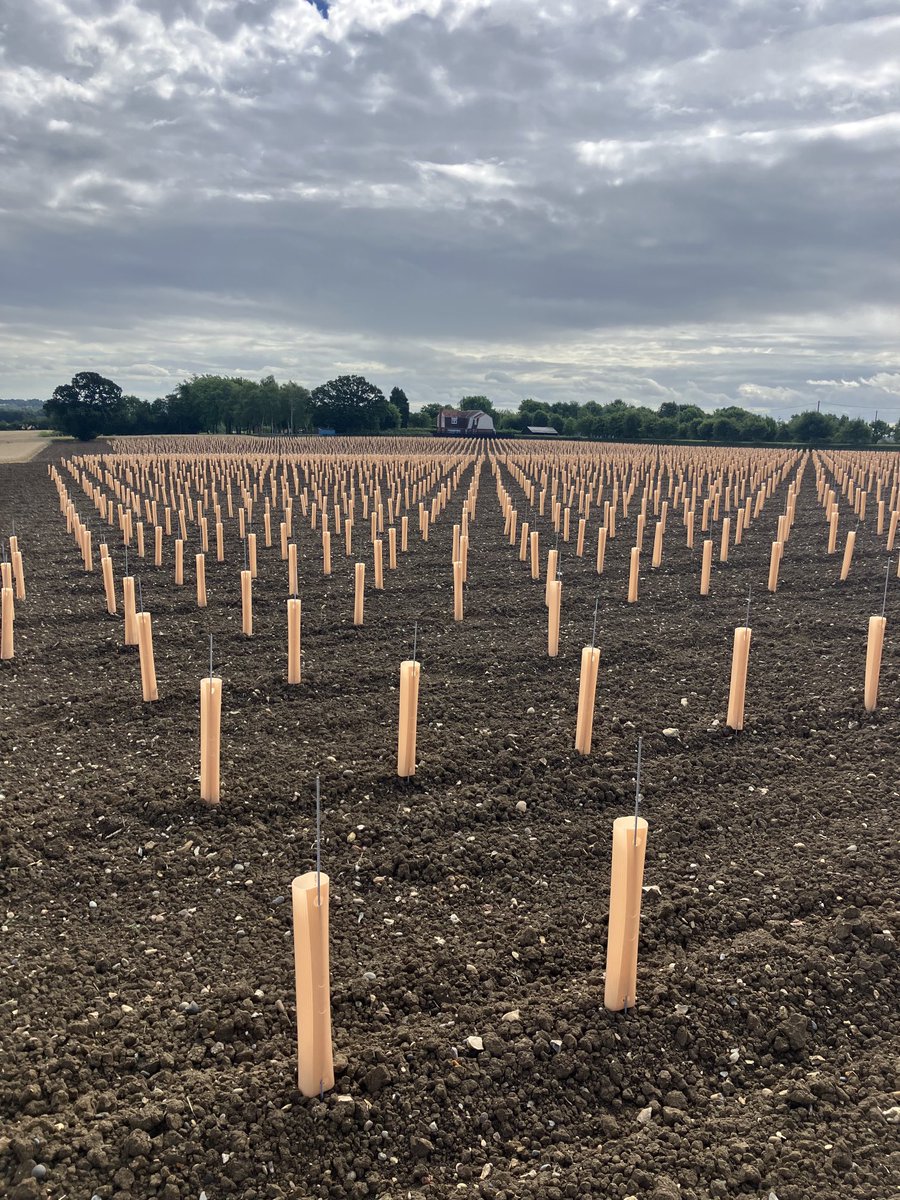 Twin GPS/Rtk planter fully operational,automatic guard and stake deployment as you plant for 2024