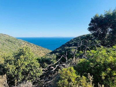 #Mare: stato ecologico e chimico delle acque marine e costiere della #Toscana nel 2022
arpat.toscana.it/notizie/2023/a…