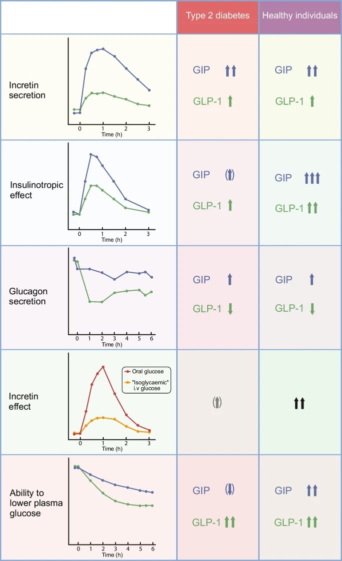 mbotana's tweet photo. Ni se te ocurra seguir leyendo este hilo si estás de vacaciones. Déjalo para cuando vuelvas.
Tres revisiones aún calentitas de @DiabetologiaJnl 
1.- Incretin hormones and type 2 diabetes. Nauck &amp; Muller. https://t.co/l5N3JEF39c
@SEDiabetes @diabeteSEEN @redGDPS @FEDE_Diabetes https://t.co/evIJiDoGCq