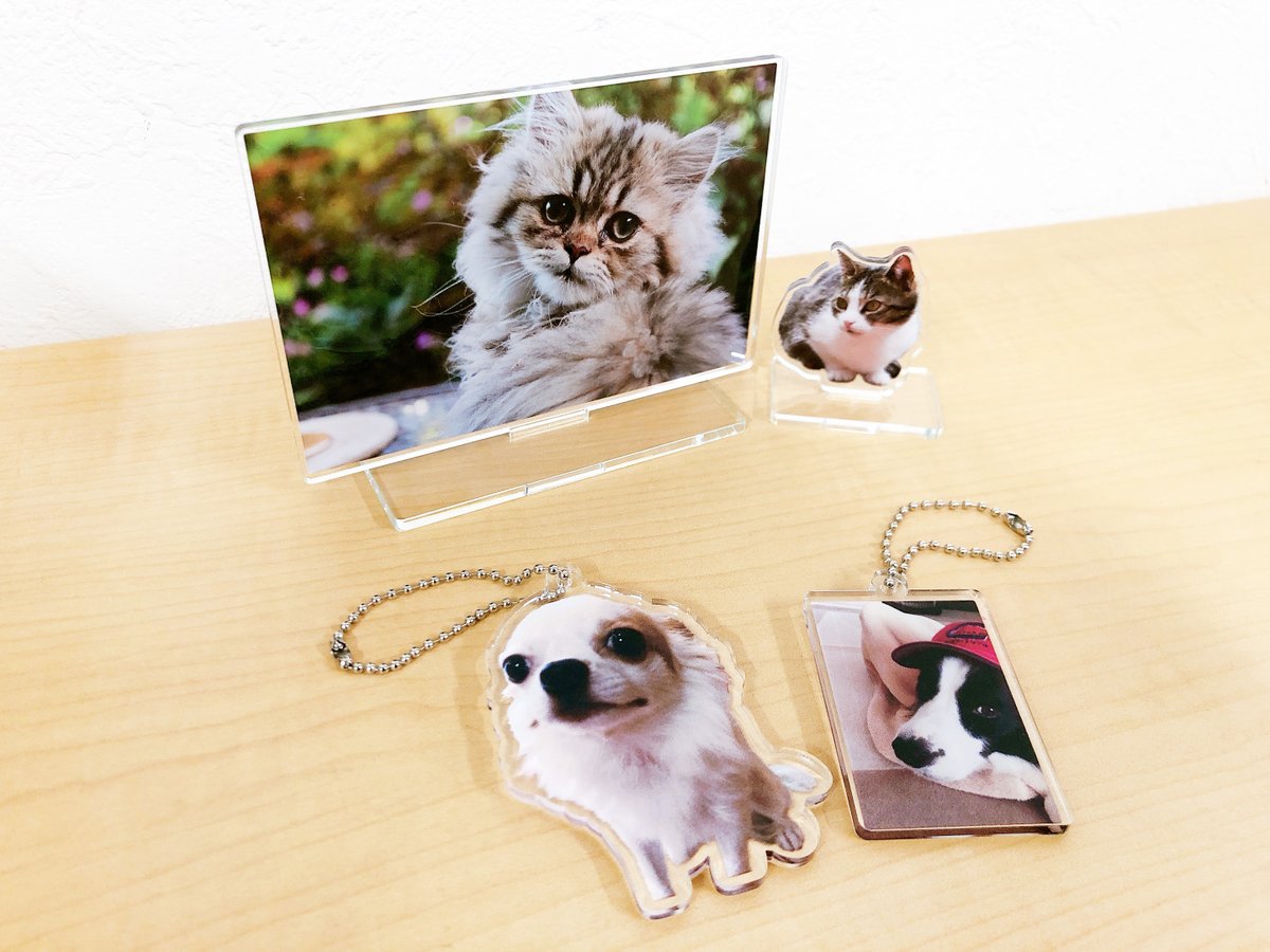 サンプルを並べるとこんな感じです！
お気に入りの写真を送るだけで
とっても素敵なグッズたちに早変わり〜😆✨

#らくリル
#アクリルグッズ