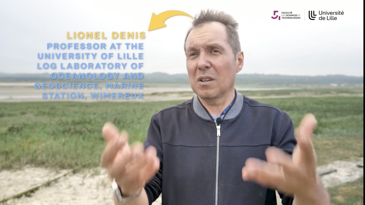 Tara Williams tweet media