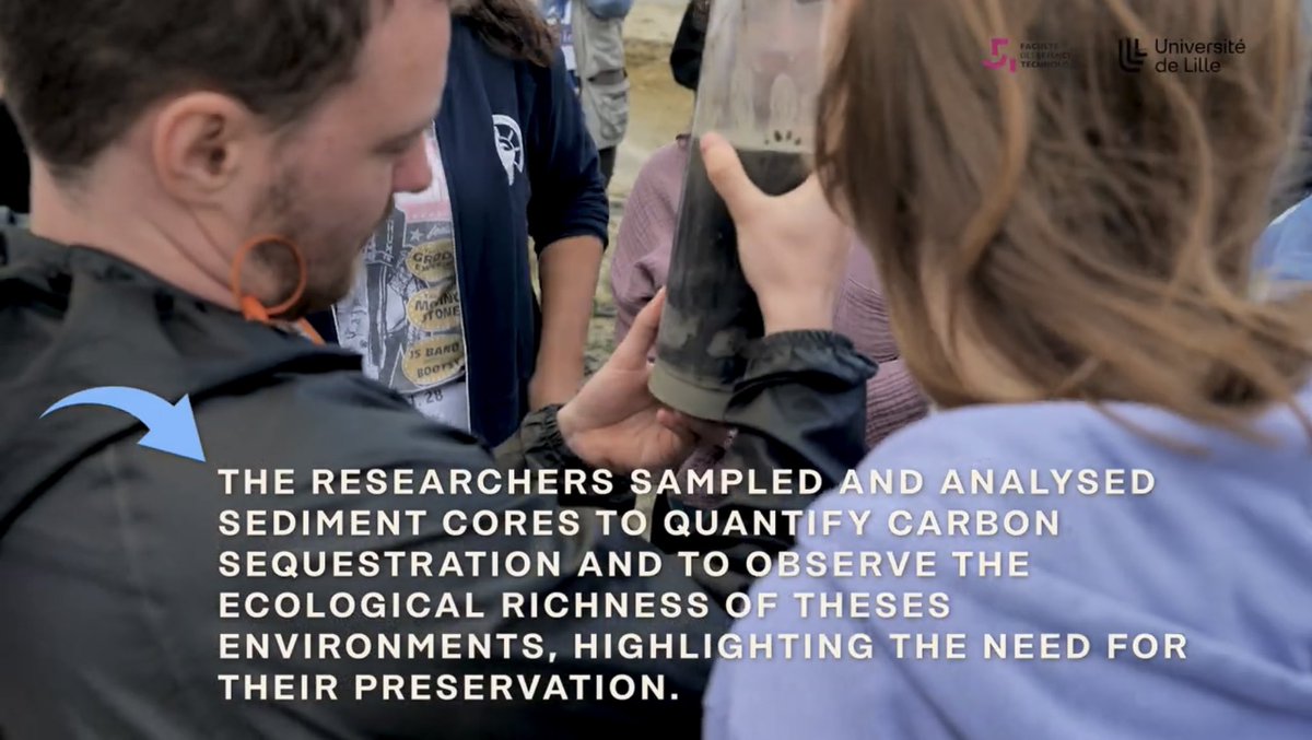 Tara Williams tweet media