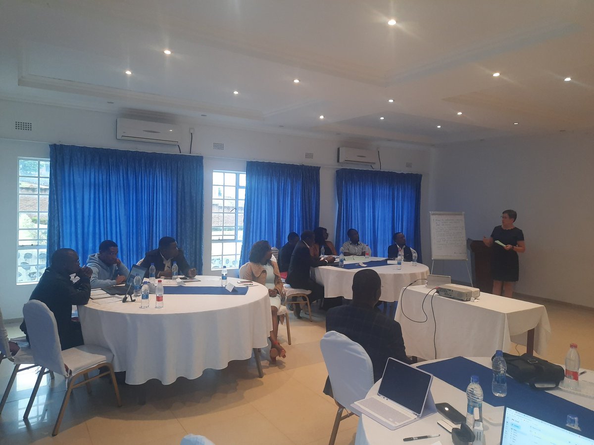 The Catalead tweet media