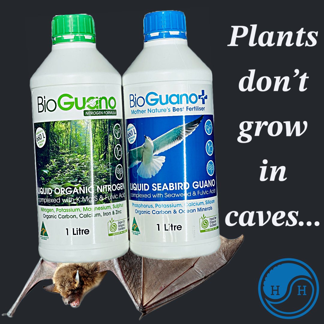holistic_hydro's tweet photo. 🌱 Unleash nature's wonder! 🌿 Made in Australia, BioGuano offers premium certified organic inputs for home gardeners &amp; commercial producers. 🇦🇺 Discover the power of BioGuano: #OrganicGardening #NaturalFertilizer #EcoLiving #GreenThumb #SustainableGardening #AustralianMade https://t.co/e4W1YvLyGp